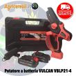 Potatore a batteria agli ioni di litio VULCAN VBLP21-4