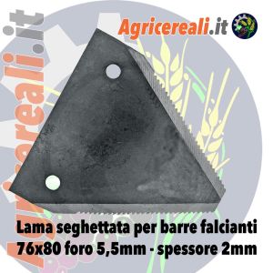 Lama seghettata per barre falcianti 76x80 foro 5,5 mm - spessore 2mm