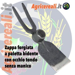 Zappa forgiata a paletta bidente con occhio tondo senza manico