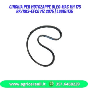 Cinghia per motozappe Oleo-Mac MH 175 RK/RKS-Efco MZ 2075 | L66151135