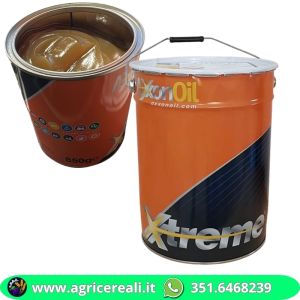 Grasso al litio multifunzione Xtreme LITEX 2 secchio 4,5 kg