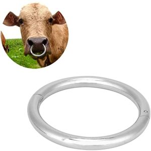 Anello nasello per tori