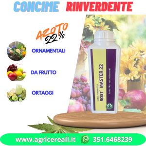 Concime Per Piante Verdi Fiori Orto E Frutta | Azoto 22% Stimola la crescita vegetativa