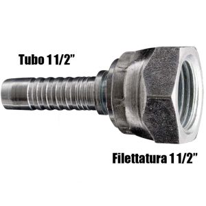 Femmina Dritta BSP 1 1/2" per Tubo 1 1/2" Raccordo Idraulico di Qualità