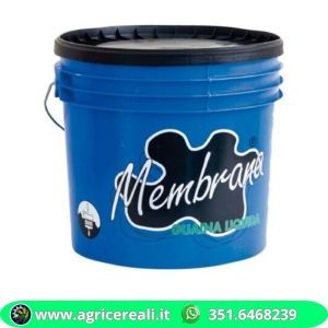 Guaina liquida elastica bianca 20 kg tetti e terrazze
