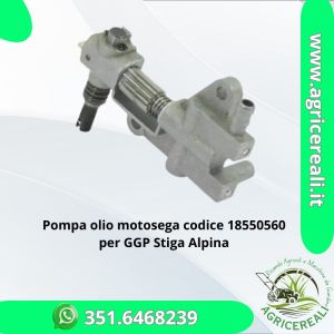 Pompa olio motosega CASTELGARDEN GGP STIGA ALPINA C46 A4500 - 18550560