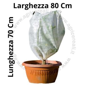 Telo Antigelo in Tessuto Non Tessuto - Confezione da 5