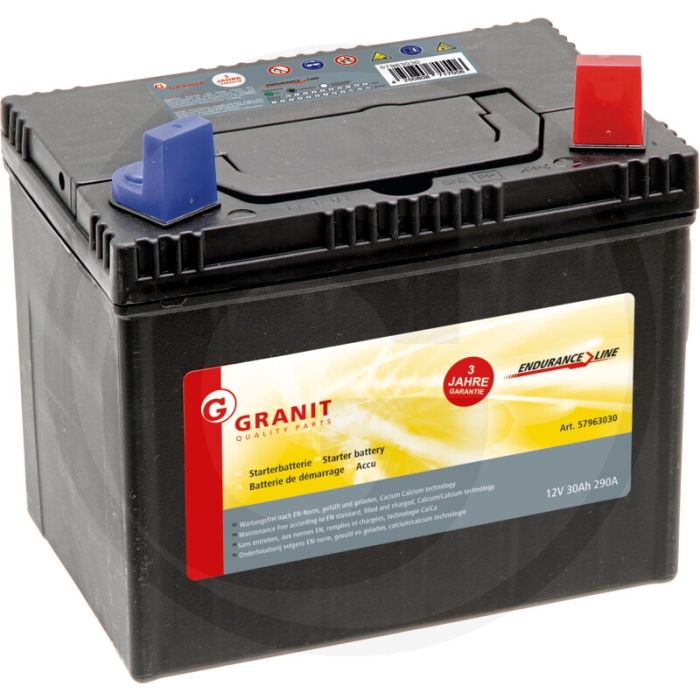 Batteria 30Ah 290A ENDURANCE LINE Batteria per Trattorini Tosaerba  Generatore Motozappa 3 ANNI DI GARANZIA 